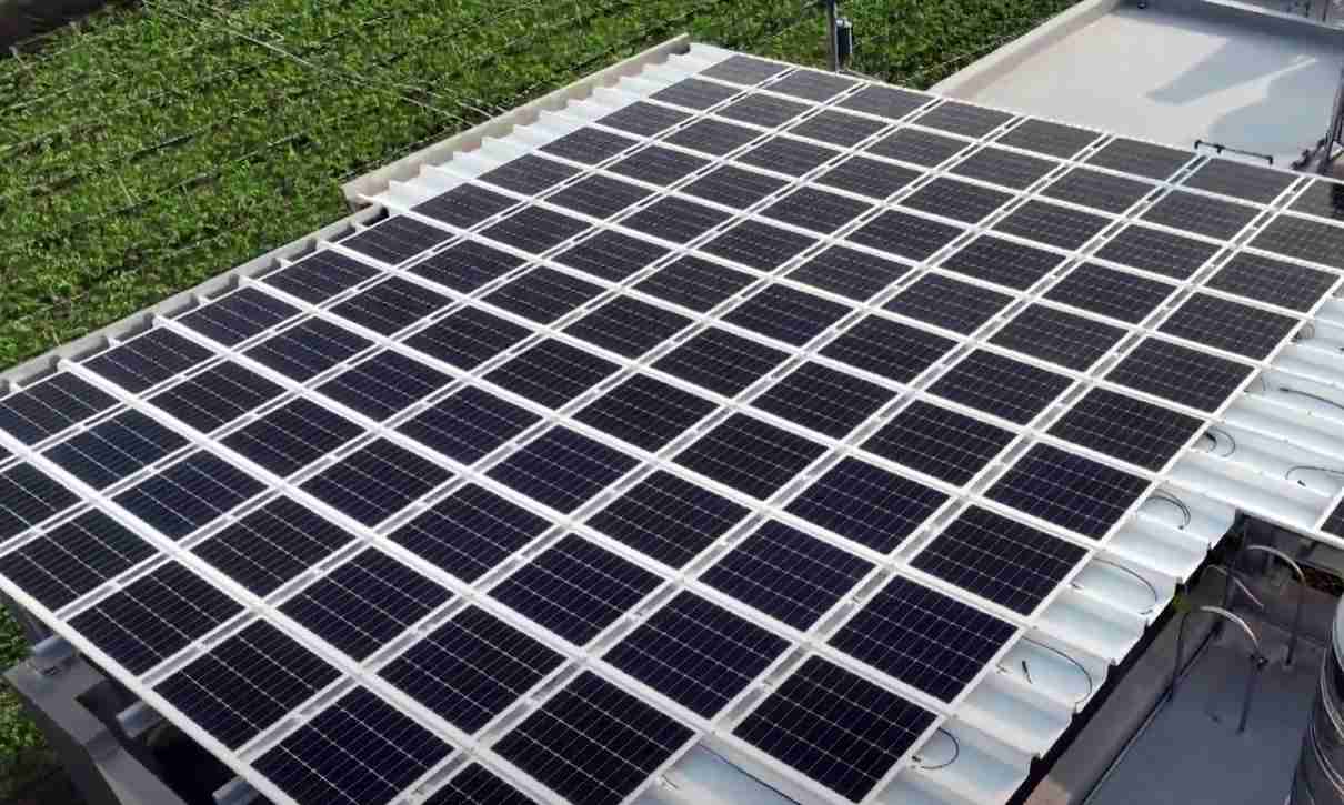 CG电子SunSteel光电浪板升级双玻结构，，，以提升机械负载强度及气候耐候度，，，可广泛运用于多元场域